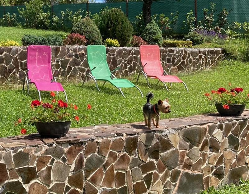 Vila Marko Nová Lesná Esterno foto